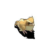 波波-魔法.gif