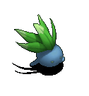 走路草-移动中.gif