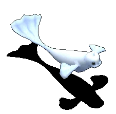 白海狮.gif