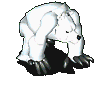 北极熊-走路.gif