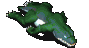 地龙蜥-移动中.gif