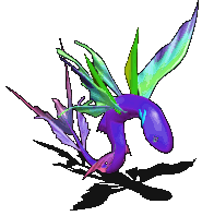 紫霞青龙.gif