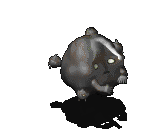 炭球-受伤.gif