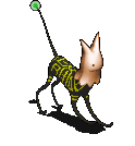 恶梦猫-魔法.gif