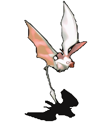 壮硕白兔蝙蝠.gif