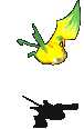 水果蝙蝠-移动中.gif