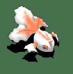 角金鱼-防御.gif