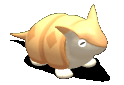 球犰.gif