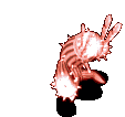 改造花舞仙人掌-受伤.gif