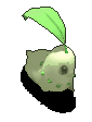 菊草叶-移动中.gif
