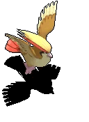 大比鸟.gif
