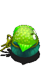荷叶粽-魔法.gif