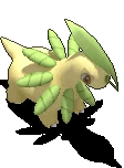 月桂叶.gif