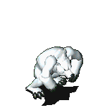 异化北极熊-魔法.gif