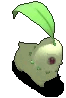 菊草叶-站立.gif