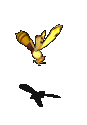 改造黄蜂-倒下.gif