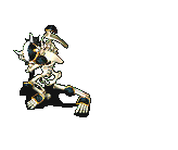 觉醒的骷髅海盗-攻击.gif