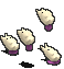 白色恋人-站立.gif