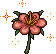 闪耀之花.gif