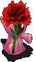 康乃馨花妖.gif