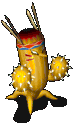 兔耳仙人掌-站立.gif