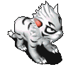 小白虎.gif