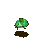 碧枭-魔法.gif