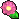 冷静之花.gif