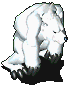 异化北极熊-站立.gif