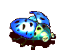 蓝天瓢虫-受伤.gif