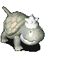 石龟.gif