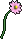 呼噜花.gif