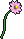 呼噜花.gif