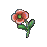 瞿麦.png