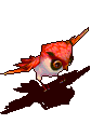赤枭.gif