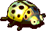 黄星瓢虫-站立.gif