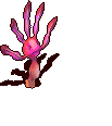樱花海草-倒下.gif