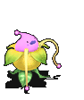 舞蹈花妖-魔法.gif