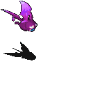 迷幻蝙蝠-攻击.gif