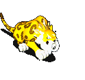 金格萨贝鲁-魔法.gif