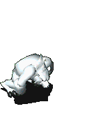 北极熊-攻击.gif