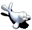 小海狮.gif