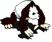 猫熊-移动中.gif