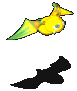 异变水果蝙蝠-魔法.gif