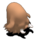 长毛猪-走路.gif