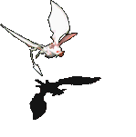 兔耳蝙蝠-攻击.gif