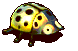 黄星瓢虫-攻击.gif