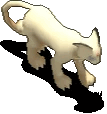 猫老大.gif