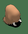 长毛猪-防御.gif