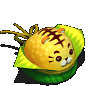金粽虎.gif